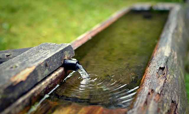 Zadbaj o zebranie wody głównie dzięki specjalnym "zbieraczom" wody deszczowej